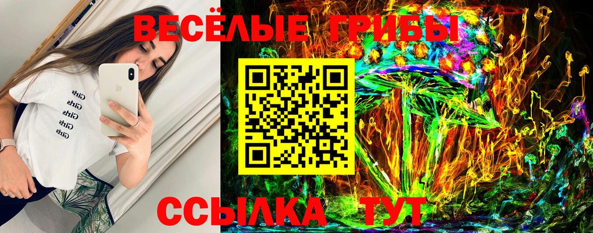 Галлюциногенные грибы Cubensis Дзержинск