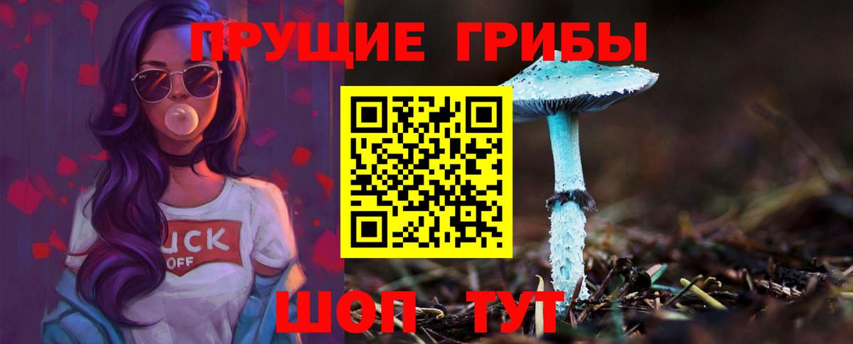 Галлюциногенные грибы GOLDEN TEACHER  хочу наркоту  Галлюциногенные грибы мицелий  Дзержинск  Вход с VPN 